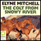 The Colt from Snowy River (Unabridged) audio book by Mitchell Elyne