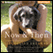 Now & Then (Unabridged) audio book by Jacqueline Sheehan