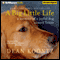 A Big Little Life: A Memoir of a Joyful Dog Named Trixie (Unabridged) audio book by Dean Koontz