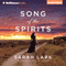 Song of the Spirits: In the Land of the Long White Cloud, Book 2 (Unabridged) audio book by Sarah Lark, D. W. Lovett (translator)