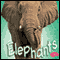 Elephants audio book by Sydnie M. Kleinhenz