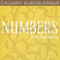 04 Numbers - 1995 audio book by Skip Heitzig