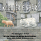 Kleiner Eisbr. Das Hrspiel Teil 2 audio book by Hans de Beer