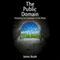 The Public Domain: Enclosing the Commons of the Mind (Unabridged) audio book by James Boyle