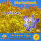 Herbstzeit Loslassen audio book by Christiane Pape