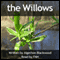 The Willows (Unabridged) audio book by Algernon Blackwood