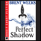 Perfect Shadow: A Night Angel Novella (Unabridged) audio book by Brent Weeks
