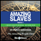 Amazing Slaves - Volume 1: Inspirational Stories (Unabridged) audio book by Dr. Charles Margerison