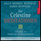 Die Celestine Meditationen audio book by James Redfield