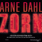 Zorn audio book by Arne Dahl