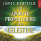 Die Zwlfte Prophezeiung von Celestine audio book by James Redfield