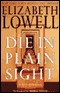 Die in Plain Sight audio book by Elizabeth Lowell