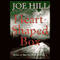 Heart-Shaped Box (Unabridged) audio book by Joe Hill