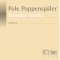 Pole Poppenspäler audio book by Theodor Storm