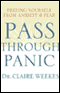 Pass Through Panic: Freeing Yourself From Anxiety and Fear audio book by Dr. Claire Weekes