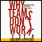 Why Teams Don't Work audio book by Harvey Robbins and Michael Finley