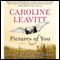 Pictures of You (Unabridged) audio book by Caroline Leavitt