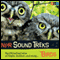 NPR Sound Treks: Birds: Spellbinding Tales of Flight, Feather, and Song audio book by NPR