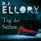 Tag der Shne audio book by R. J. Ellory