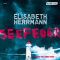 Seefeuer audio book by Elisabeth Herrmann