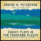 Christ Plays in Ten Thousand Places: A Conversation in Spiritual Theology (Unabridged) audio book by Eugene H. Peterson