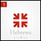 Hebrews: The Radiance of His Glory, Part 1 audio book by John Piper