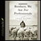 Brothers, We Are Not Professionals: A Plea to Pastors for Radical Ministry (Unabridged) audio book by John Piper