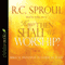How Then Shall We Worship?: Biblical Principles to Guide Us Today (Unabridged) audio book by R.C. Sproul