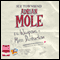 Adrian Mole and the Weapons of Mass Destruction (Unabridged) audio book by Sue Townsend
