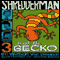 Shredderman: Meet the Gecko (Unabridged) audio book by Wendelin Van Draanen