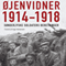 jenvidner 1914-1918 - snderjyske soldaters beretninger: [Eyewitnesses 1914-1918 - South Jutland Soldiers' Stories] (Unabridged) audio book by Inge Adriansen