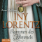 Flammen des Himmels audio book by Iny Lorentz