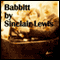 Babbitt (Unabridged) audio book by Sinclair Lewis