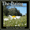 The Daisy (Unabridged) audio book by Hans Christian Andersen