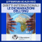 I Diritti internazionali: le Dichiarazioni dell'ONU audio book by div.