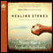 Healing Stones: Sullivan Crisp Series, Book 1 (Unabridged) audio book by Stephen Arterburn, Nancy Rue