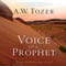 Voice of a Prophet: Who Speaks for God? (Unabridged) audio book by A.W. Tozer, James L. Snyder