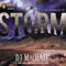 Storm: The SYLO Chronicles, Book 2 (Unabridged) audio book by D. J. MacHale