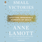 Small Victories: Spotting Improbable Moments of Grace (Unabridged) audio book by Anne Lamott