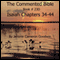 The Commented Bible: Book 23D - Isaiah (Unabridged) audio book by Mr. Jerome Cameron Goodwin