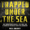 Trapped Under the Sea: One Engineering Marvel, Five Men, and a Disaster Ten Miles into the Darkness (Unabridged) audio book by Neil Swidey