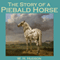 The Story of a Piebald Horse (Unabridged) audio book by W. H. Hudson