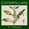 Caterpillars (Unabridged) audio book by E. F. Benson