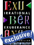 Irrational Exuberance audio book by Robert J. Shiller