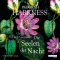 Die Seelen der Nacht audio book by Deborah Harkness
