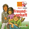 Albert E. erklrt Freundschaft (Ich wei was) audio book by Anke Riedel