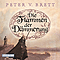 Die Flammen der Dmmerung audio book by Peter V. Brett