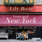 Immer noch New York audio book by Lily Brett