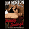 Happy Endings: The Tales of a Meaty-Breasted Zilch (Unabridged) audio book by Jim Norton