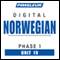 Norwegian Phase 1, Unit 19: Learn to Speak and Understand Norwegian with Pimsleur Language Programs